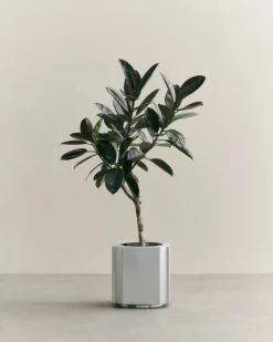 Funki kruka M 40 cm Brushed Aluminium