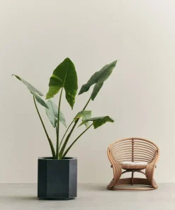 Funki kruka L 52 cm Raw Iron