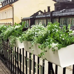 Jorda balkonglåda Vit 60 cm