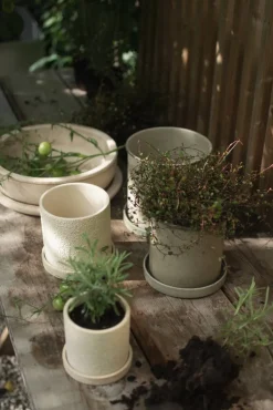 Plant pot kruka small 2-pack Beige