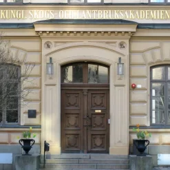 Prakturna kruka Ø55 cm Svart