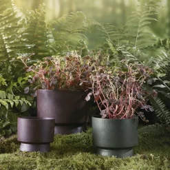 Ro blomkruka Ø12 cm Bordeaux